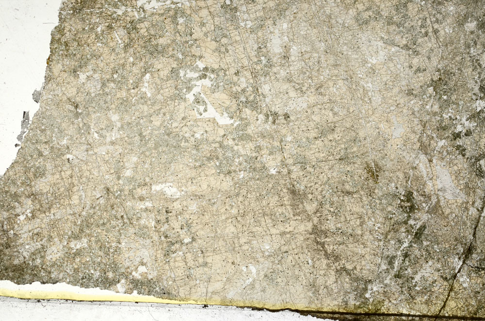 Plane Polarized, S86818