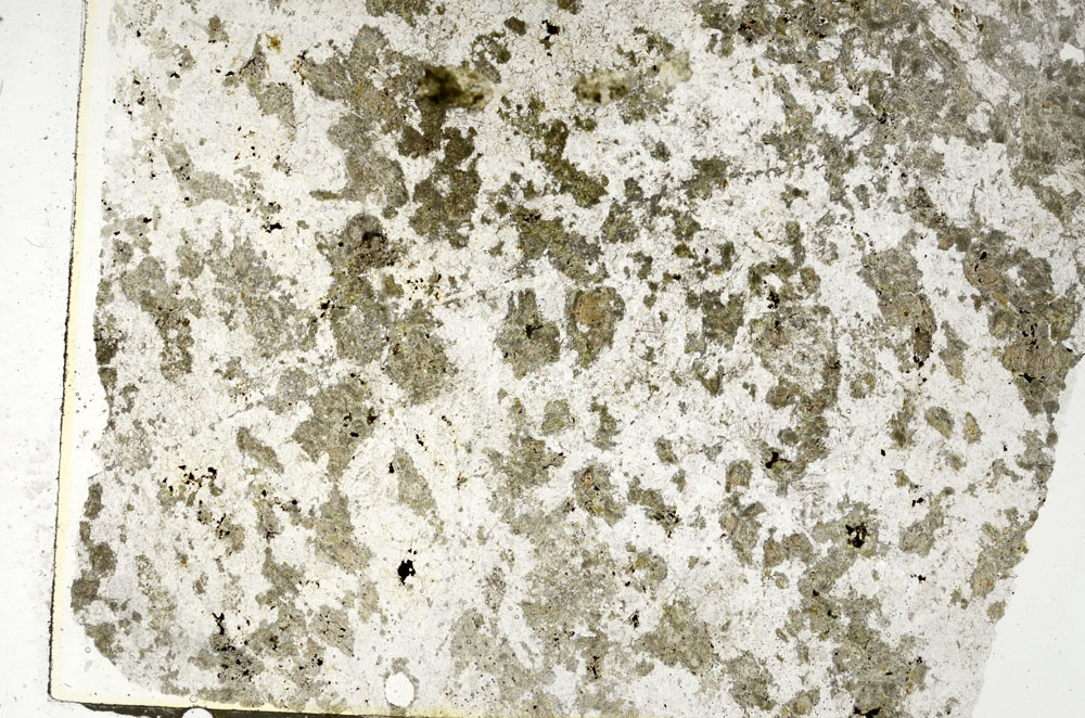 Plane Polarized, S86827