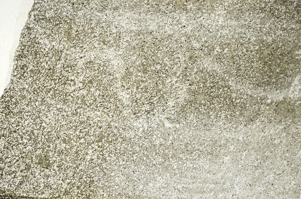Plane Polarized, S86828