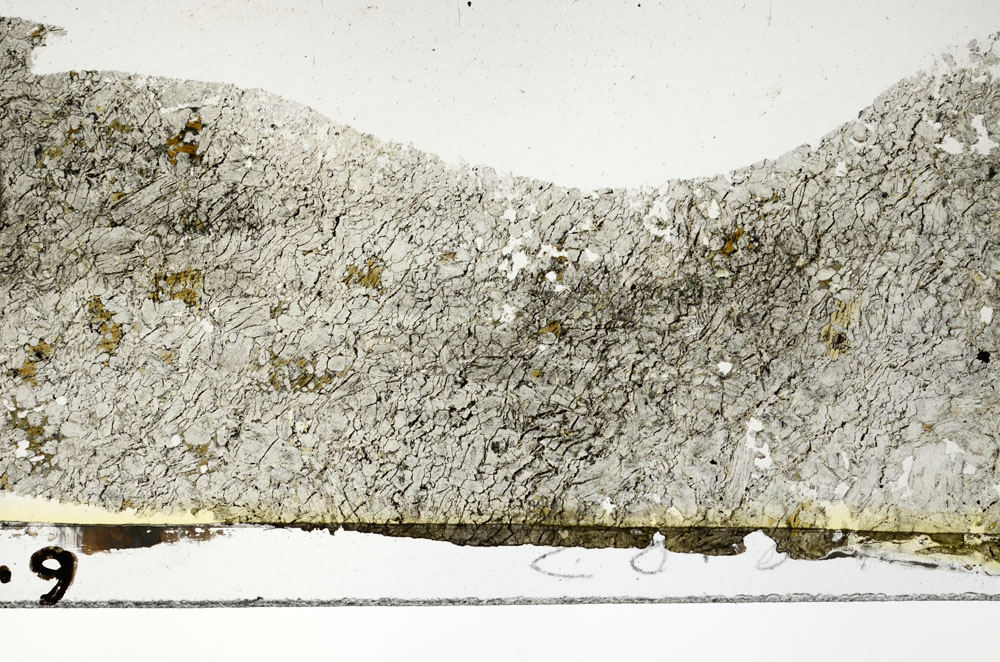 Plane Polarized, S86839