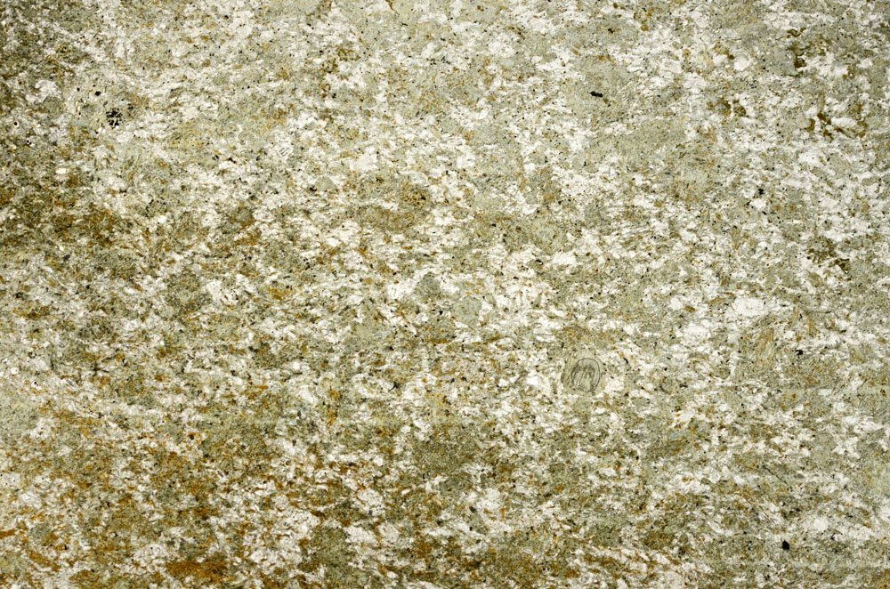 Plane Polarized, S86841