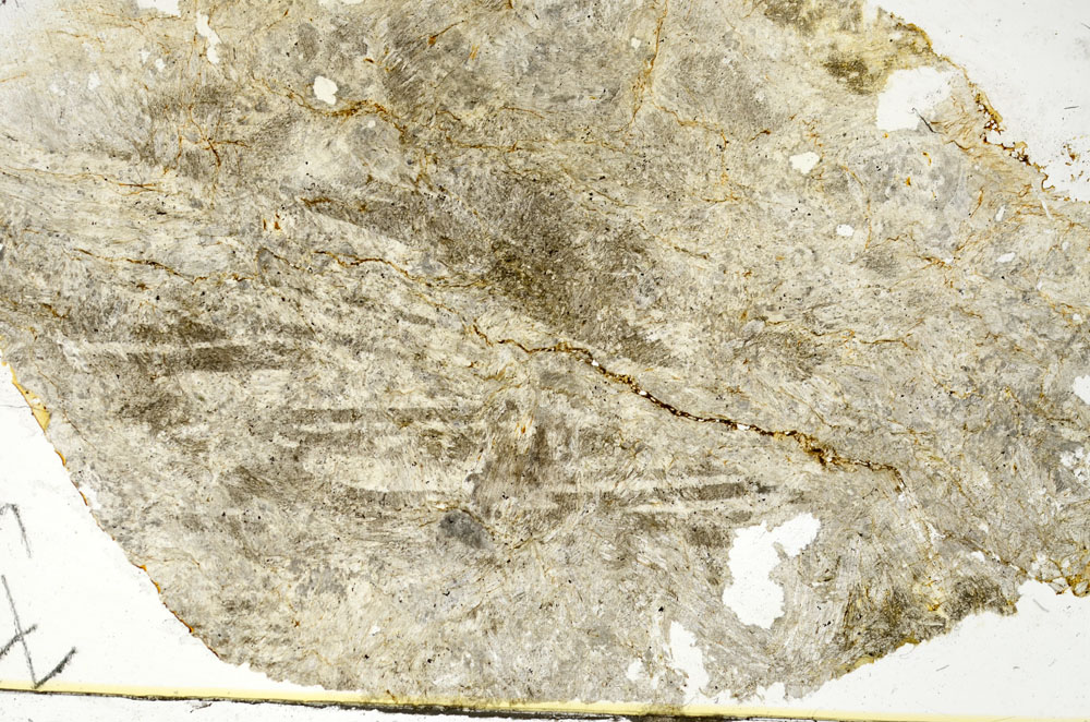 Plane Polarized, S86854