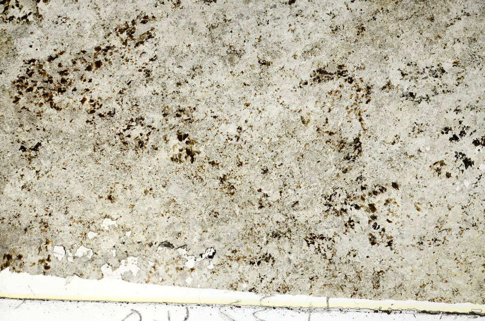 Plane Polarized, S86856