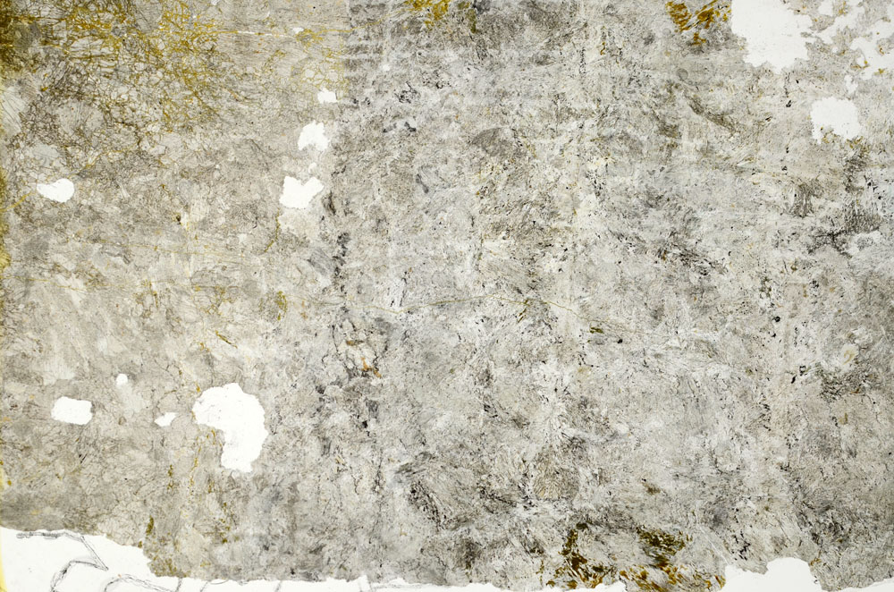 Plane Polarized, S86858