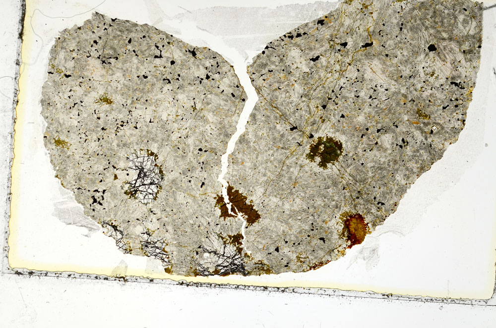 Plane Polarized, S86863