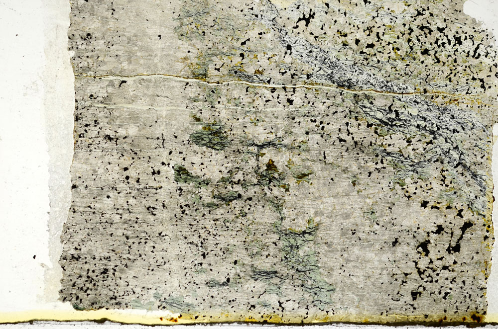 Plane Polarized, S86863/A