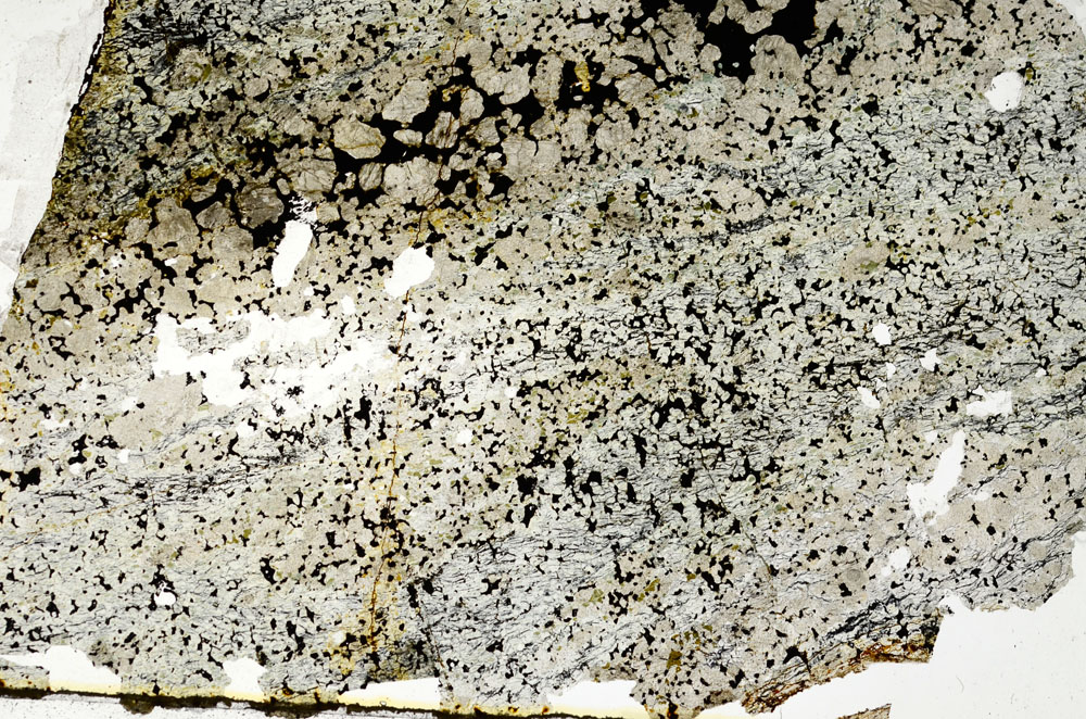 Plane Polarized, S86863/C