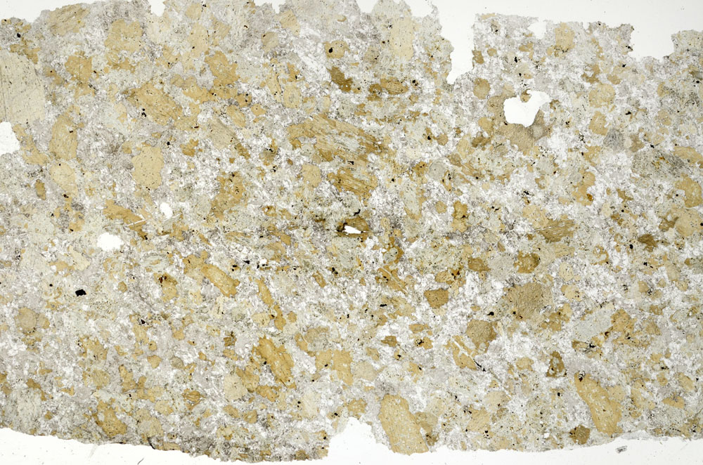 Plane Polarized, S86866