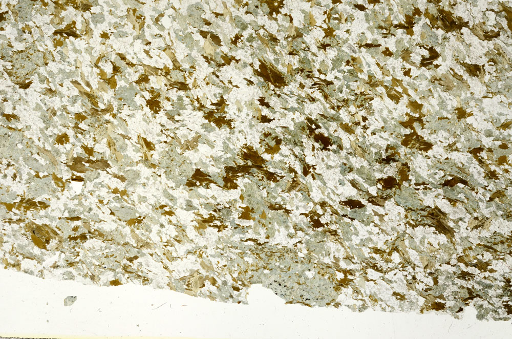Plane Polarized, S86895