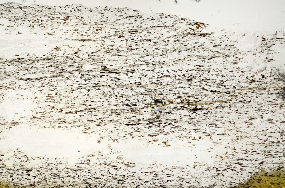 Plane Polarized, S86911