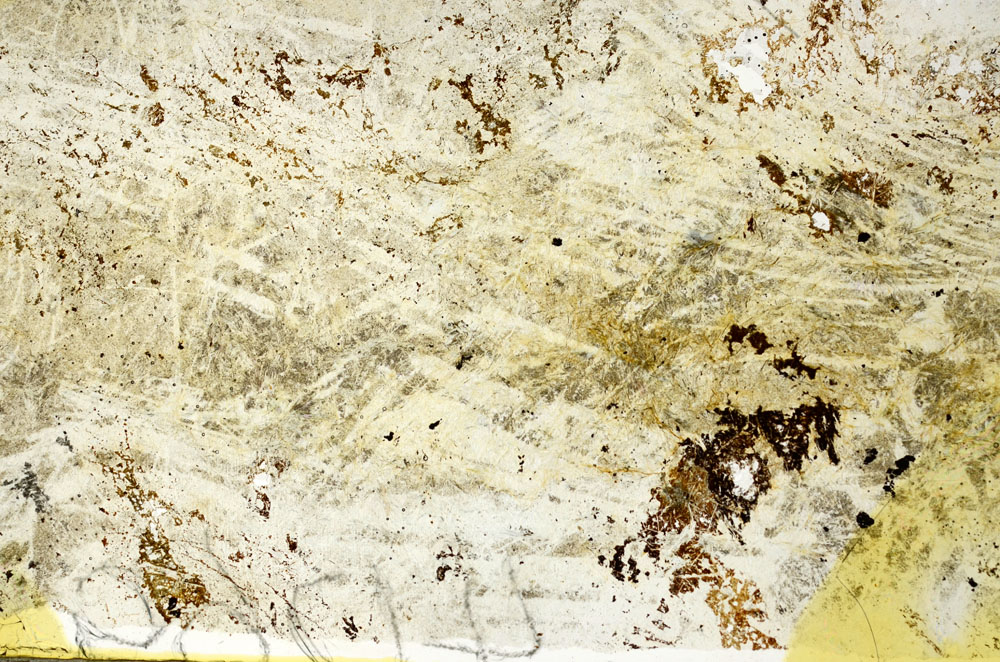 Plane Polarized, S86931