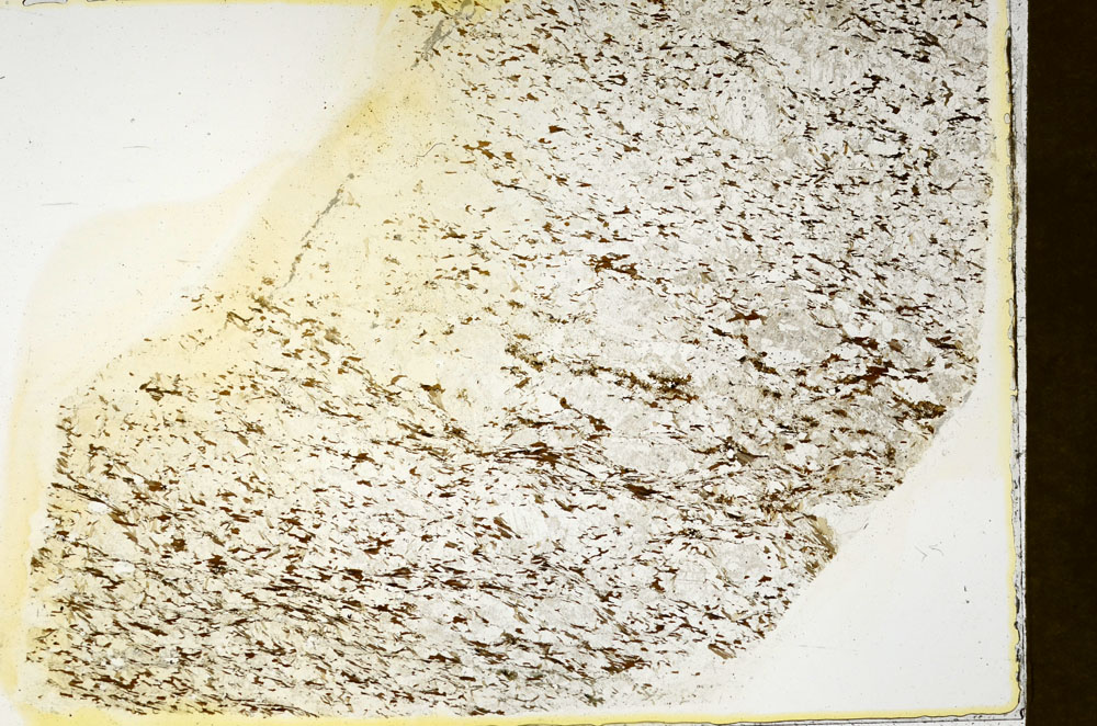 Plane Polarized, S87011