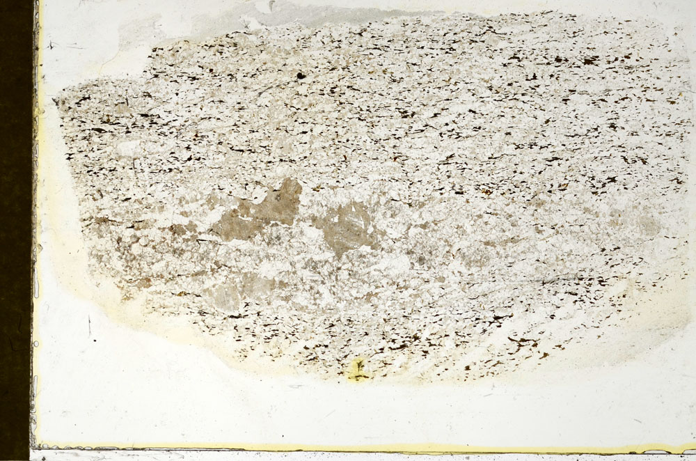 Plane Polarized, S87016