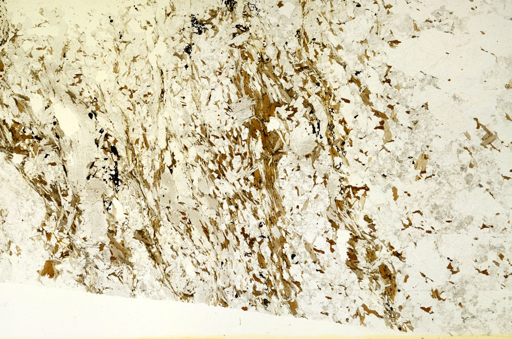 Plane Polarized, S87021