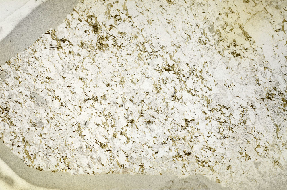 Plane Polarized, S87022