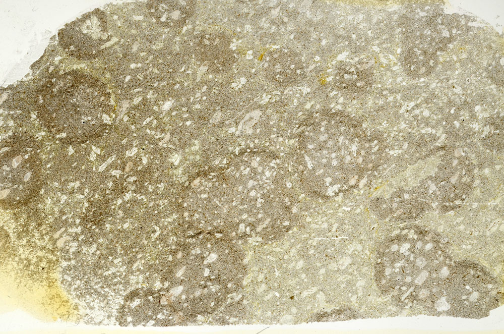 Plane Polarized, S87026