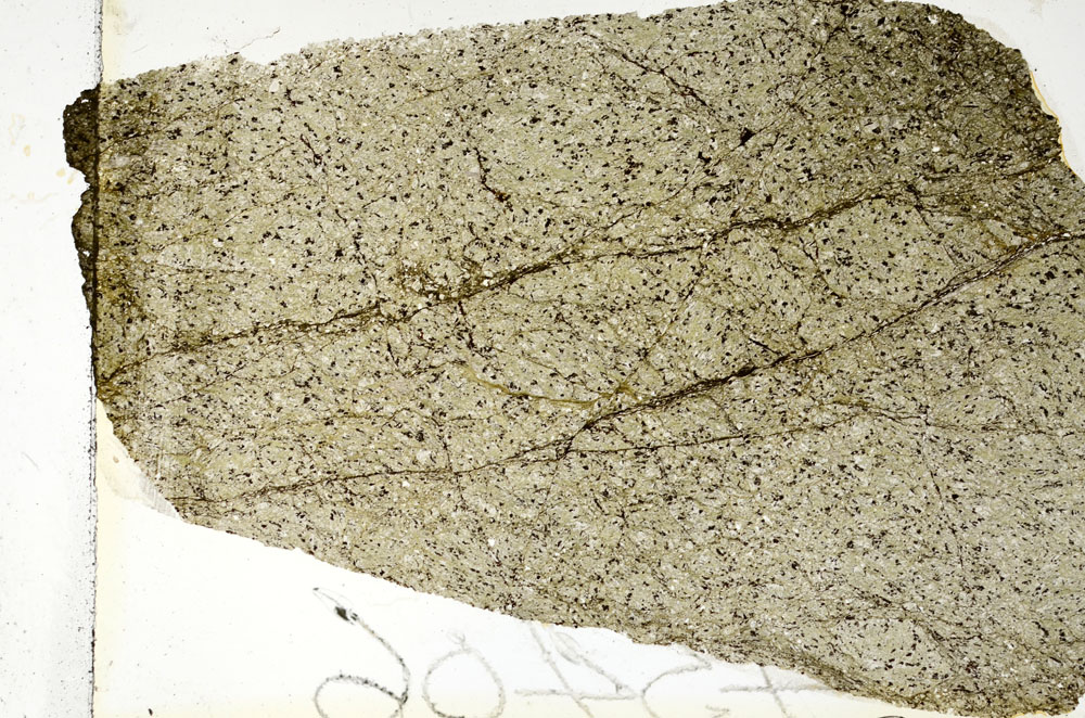Plane Polarized, S87035