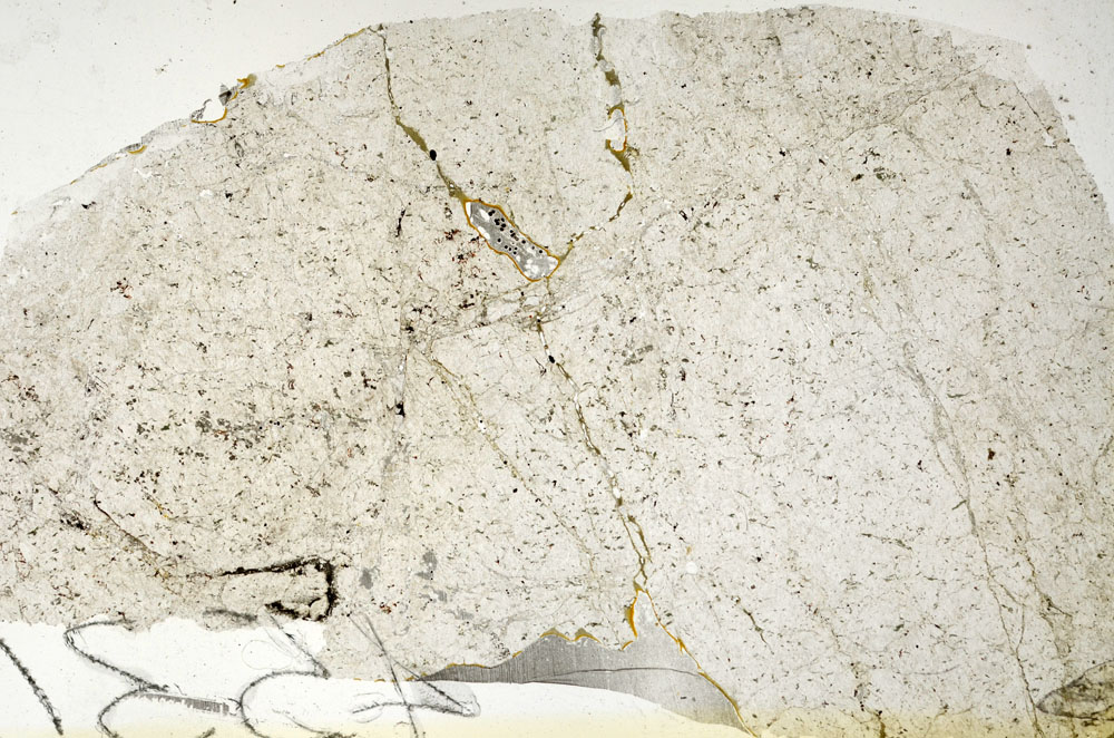 Plane Polarized, S87037