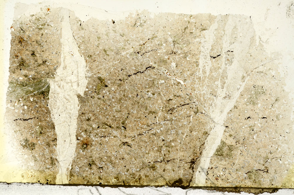 Plane Polarized, S87061