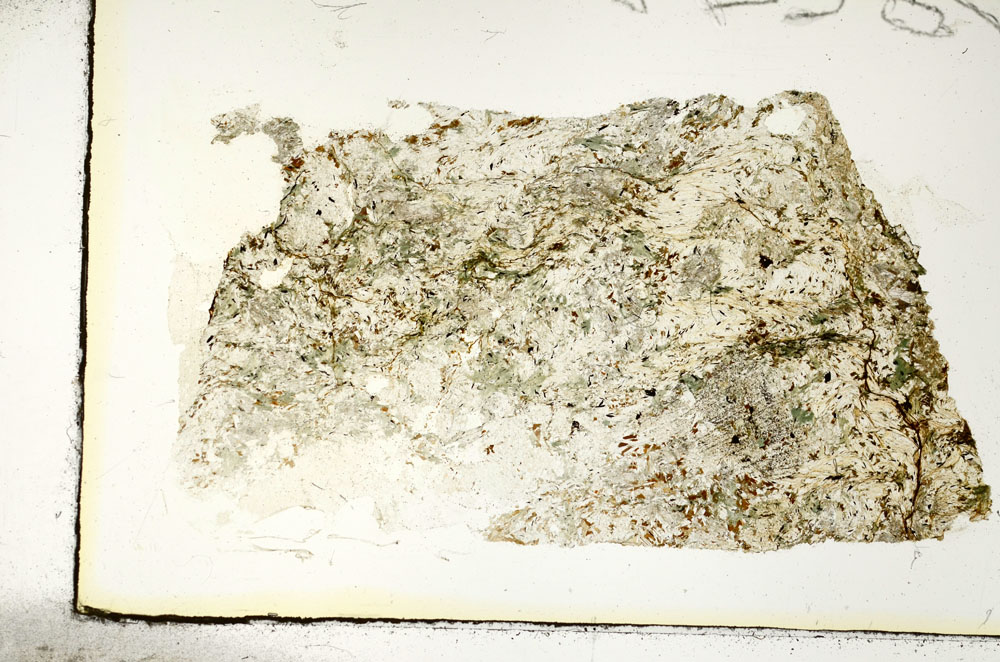 Plane Polarized, S87064