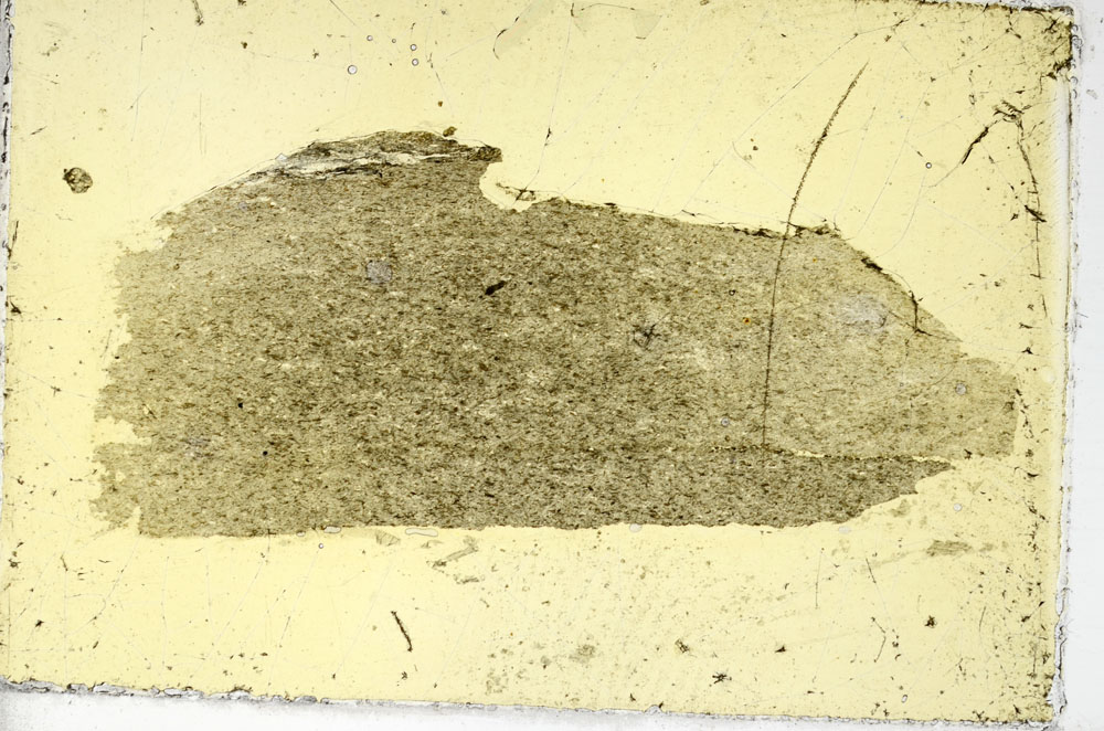 Plane Polarized, S87144