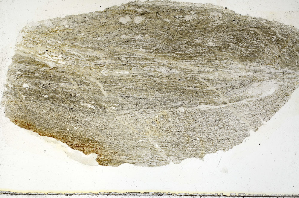 Plane Polarized, S87147