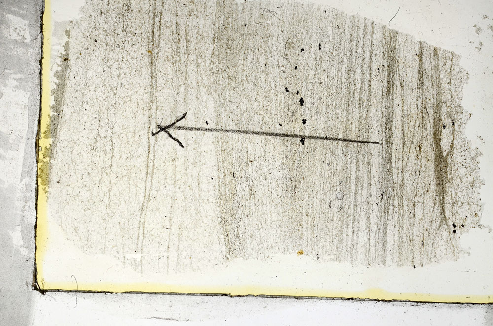 Plane Polarized, S87148