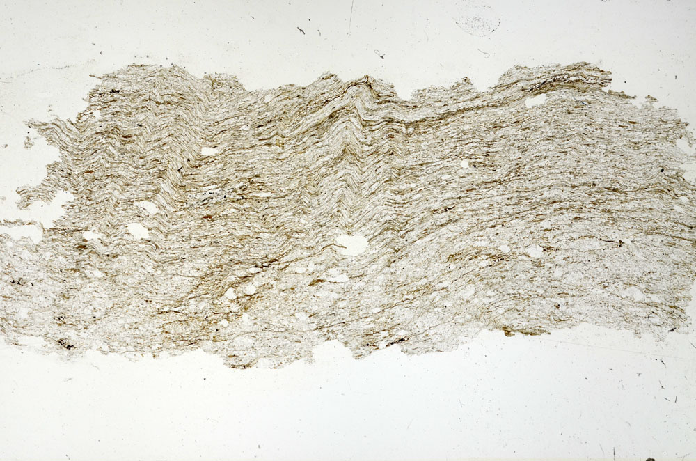 Plane Polarized, S87153