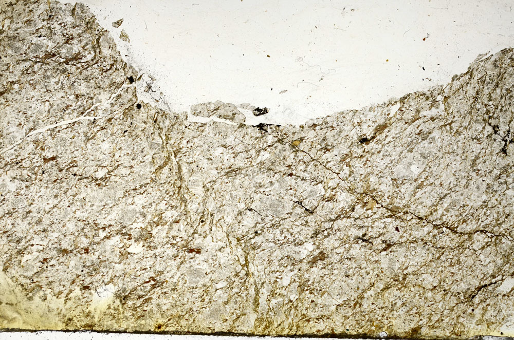 Plane Polarized, S87159