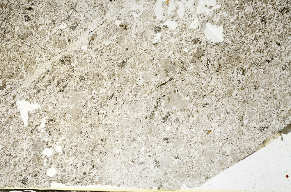 Plane Polarized, S87163