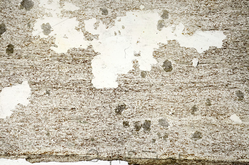 Plane Polarized, S87164