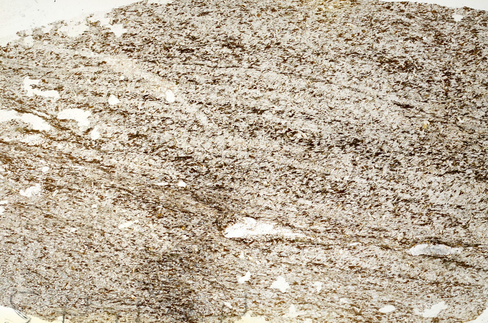 Plane Polarized, S87168