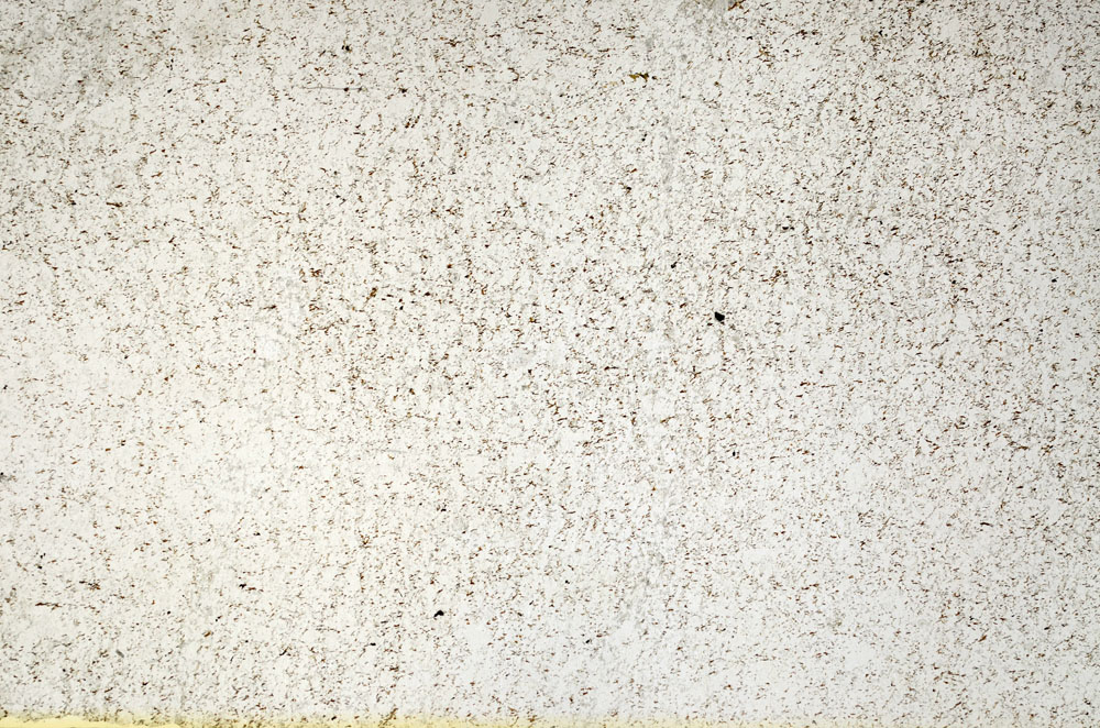 Plane Polarized, S87170