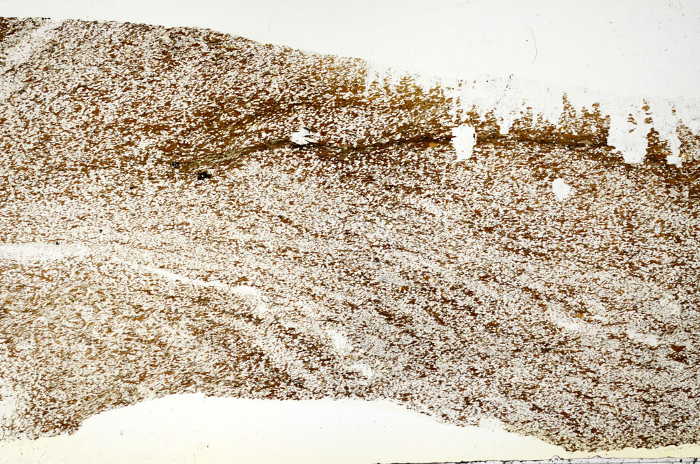 Plane Polarized, S87171