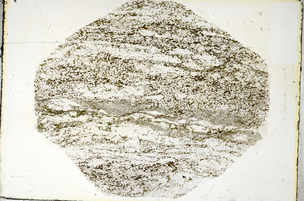 Plane Polarized, S87184