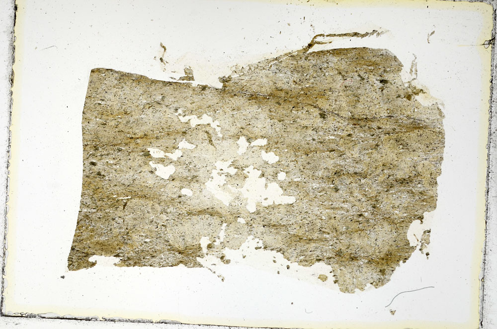 Plane Polarized, S87192/A