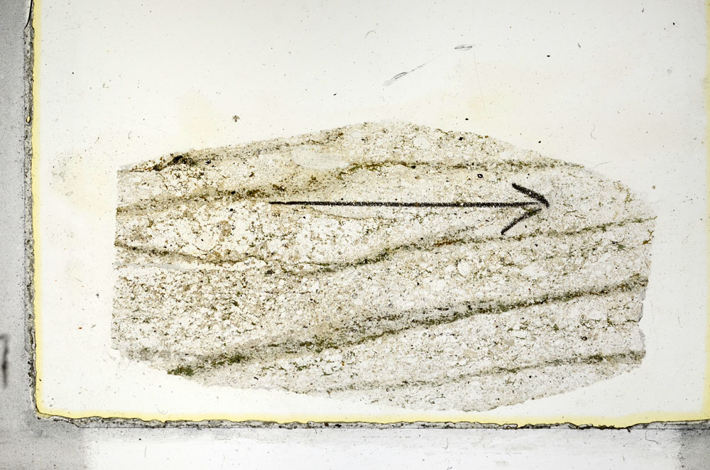 Plane Polarized, S87194