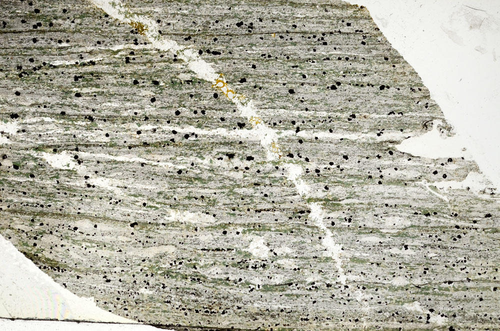 Plane Polarized, S87203