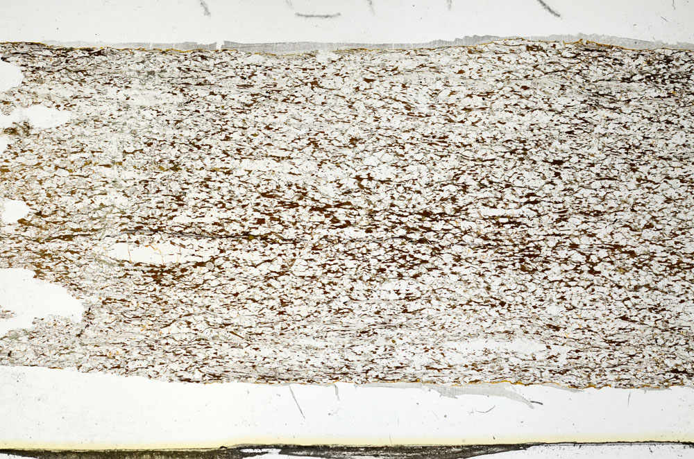 Plane Polarized, S87206