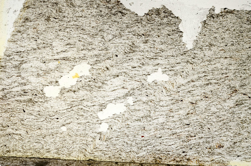 Plane Polarized, S87219