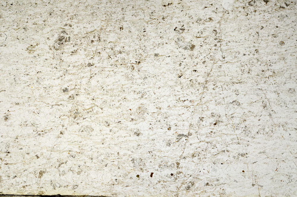 Plane Polarized, S87229