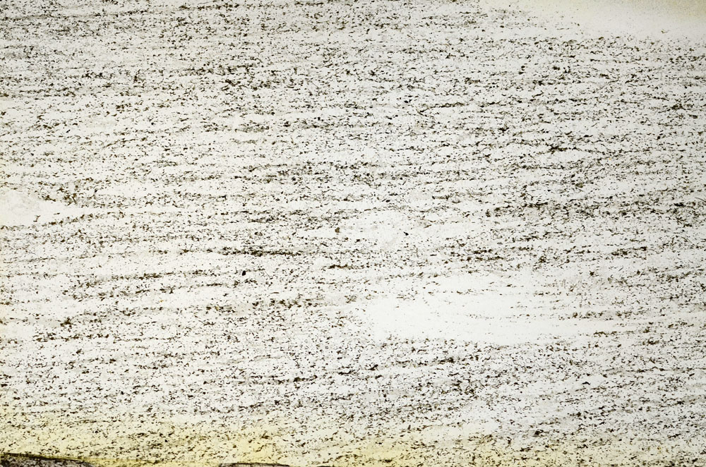 Plane Polarized, S87233