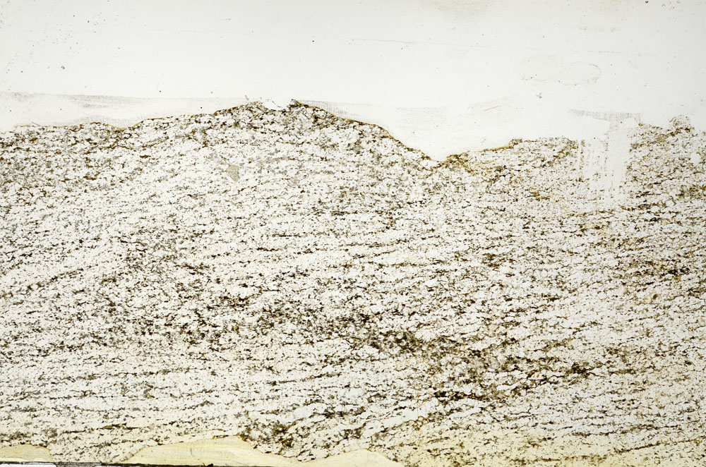 Plane Polarized, S87237