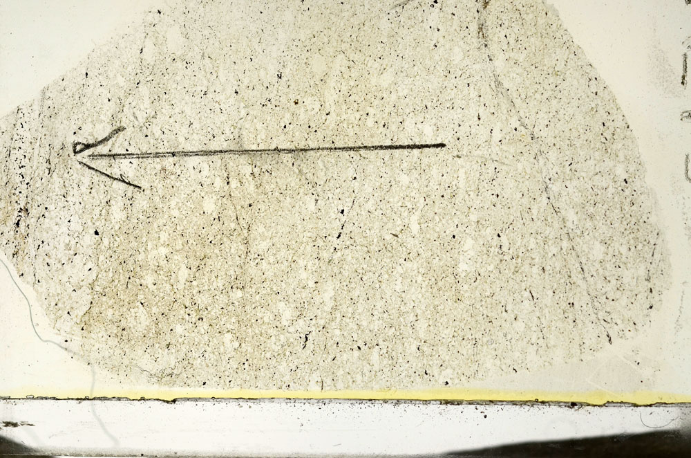 Plane Polarized, S87242