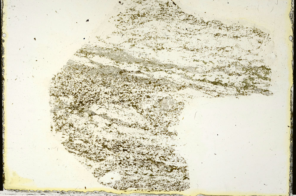 Plane Polarized, S87244