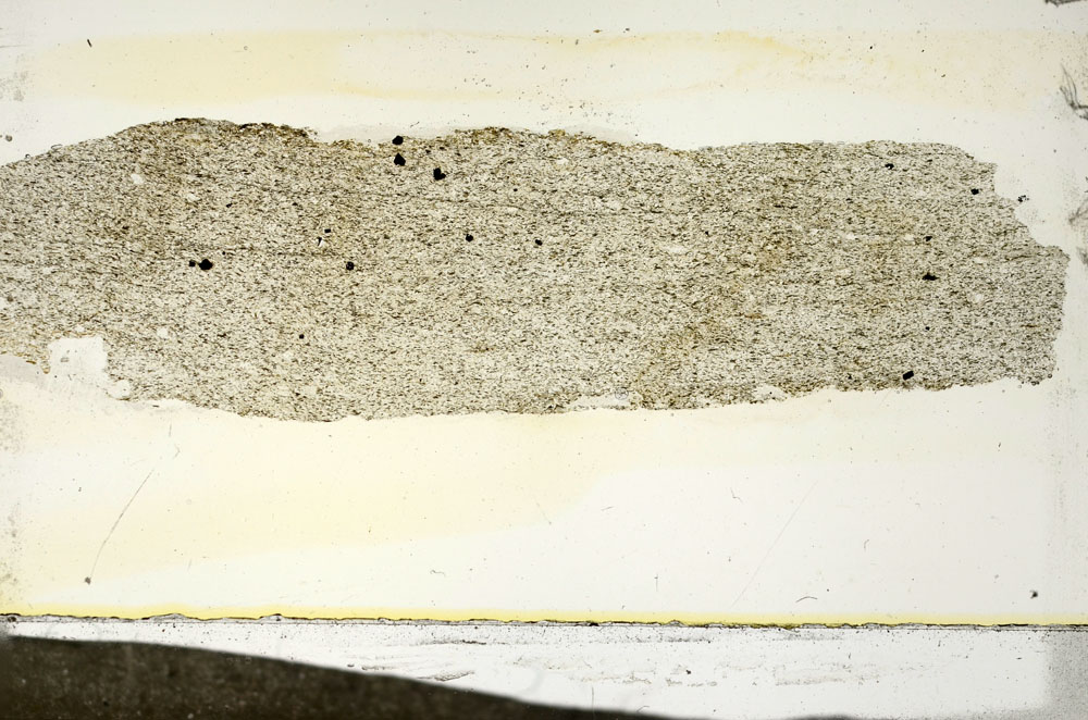 Plane Polarized, S87246