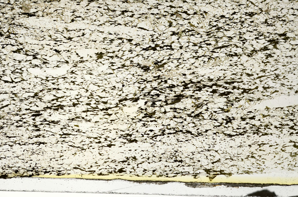 Plane Polarized, S87256