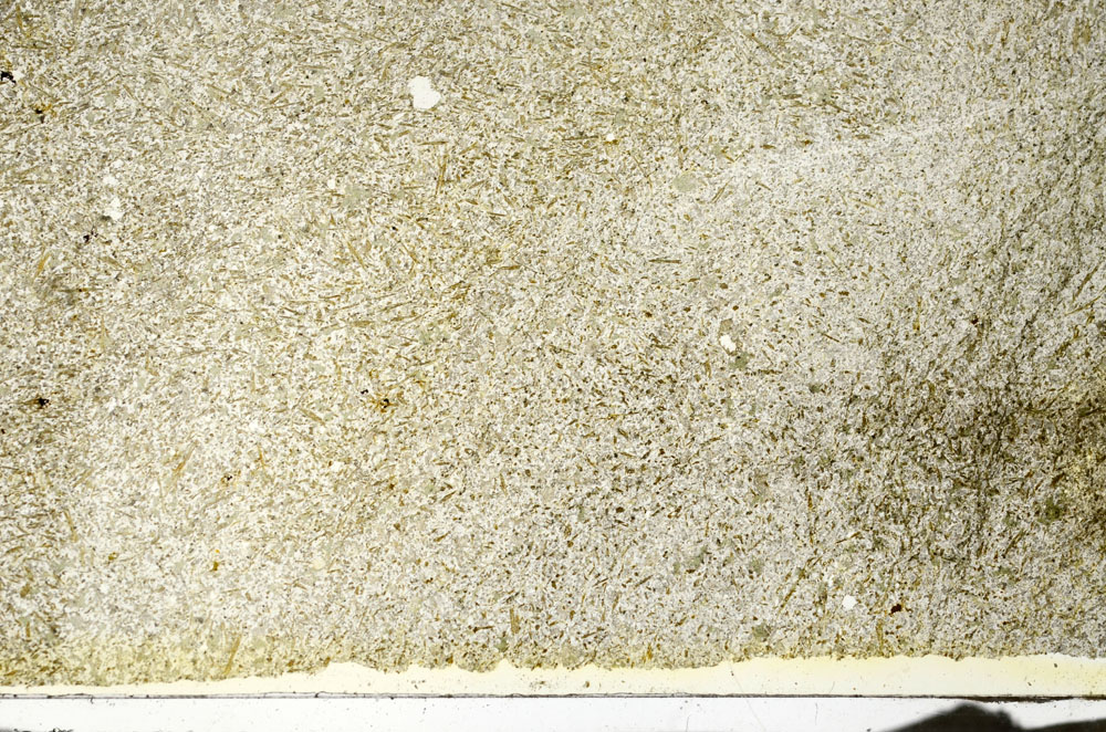 Plane Polarized, S87272