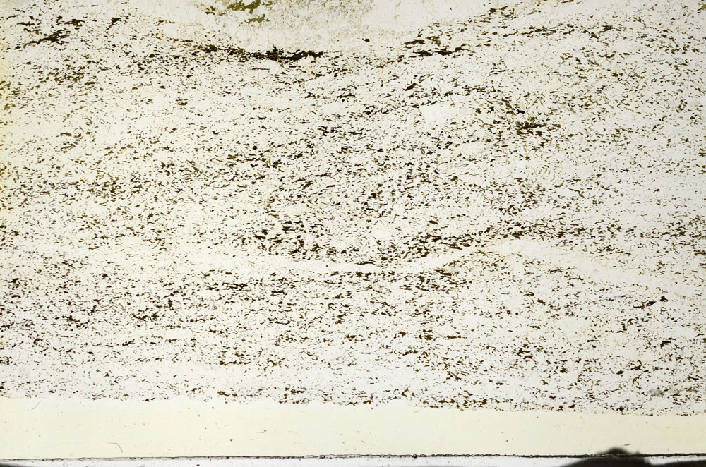 Plane Polarized, S87273