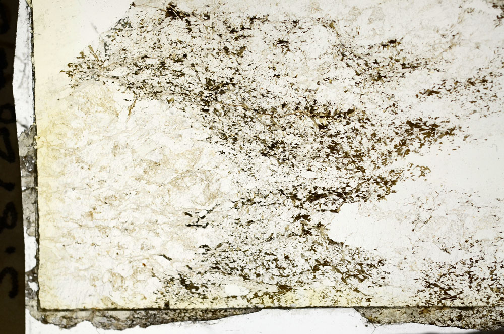 Plane Polarized, S87283